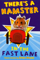 hamster in fast lane